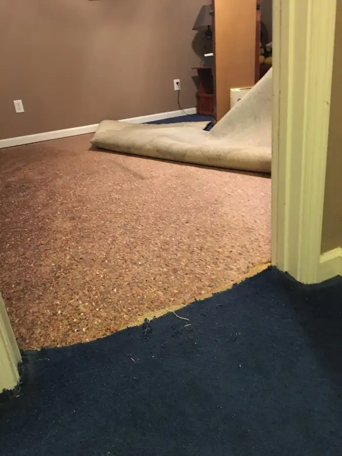 Carpet pad removal revealing water damage during Water Mitigation Services in Los Alamitos