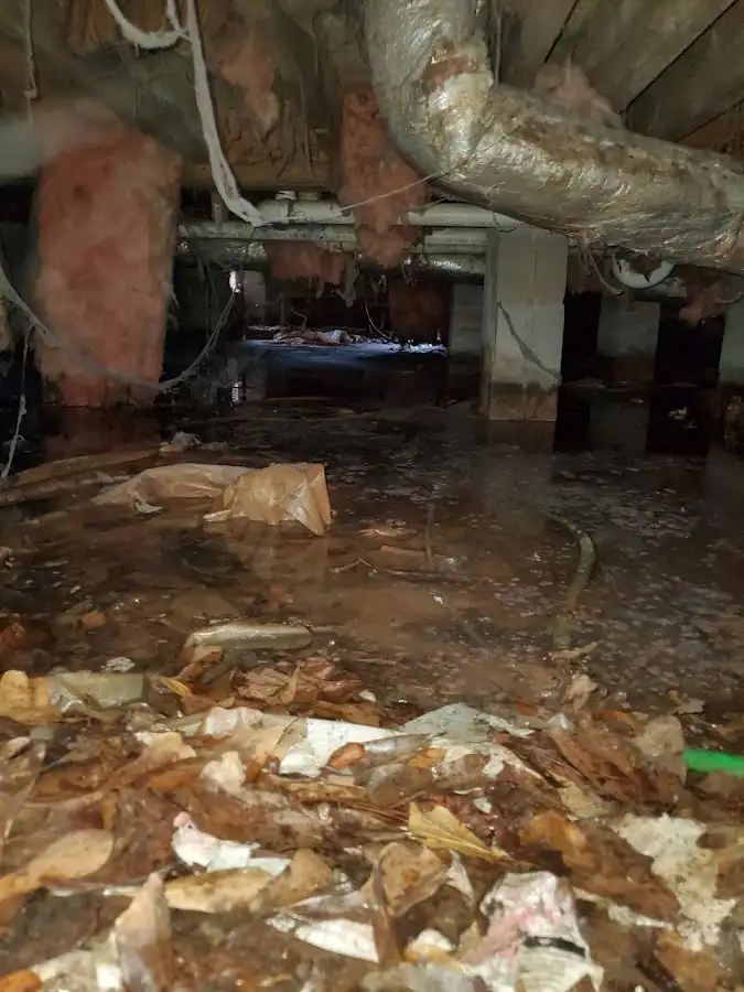 Crawl space flood assessment for Leak Detection & Repair in Los Alamitos