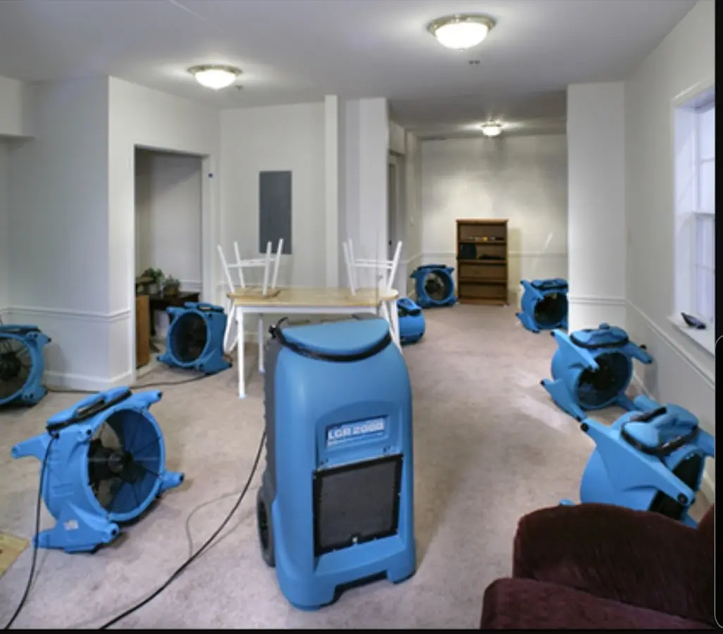 Air movers and dehumidifier setup for Water Extraction & Removal in Los Alamitos